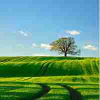 定​制‍渗‌透‍测﻿试‍方​案​